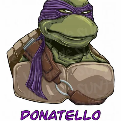 Donatello – Art Print Édition Limitée