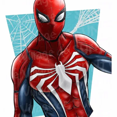Spiderman – Art Print Édition Limitée